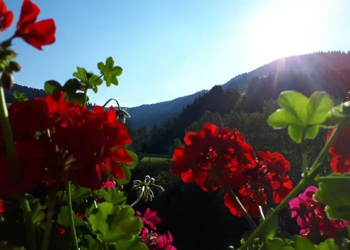 Hinterschwarzenau