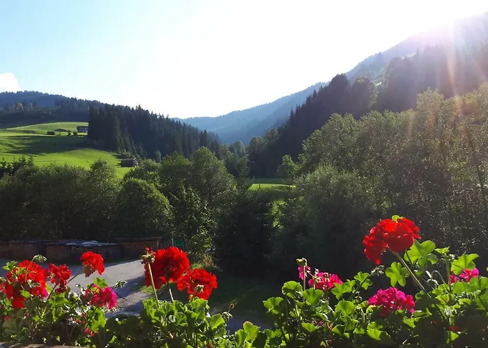 Hinterschwarzenau