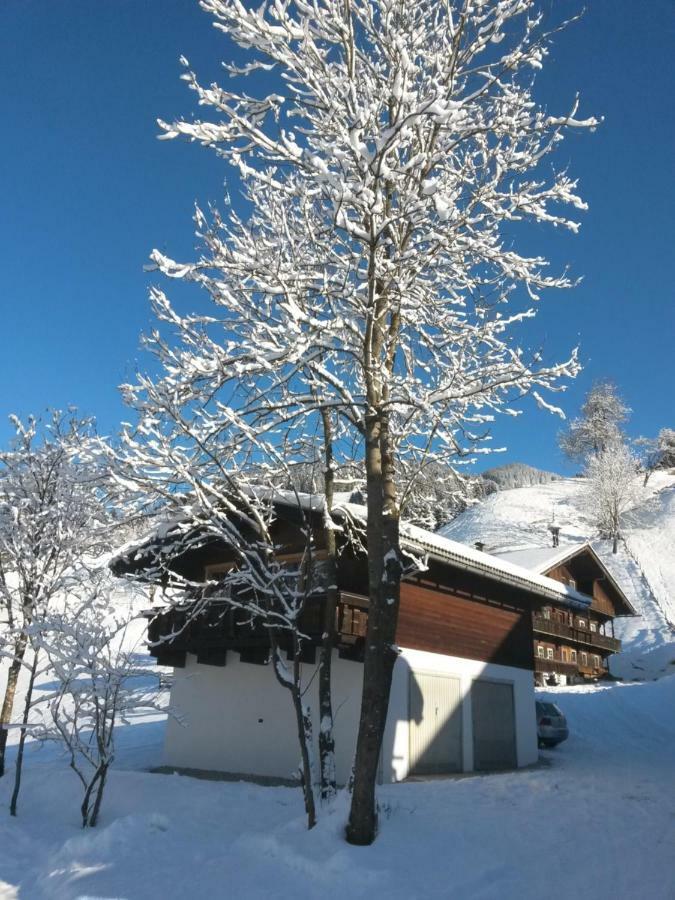 Hinterschwarzenau Apartment