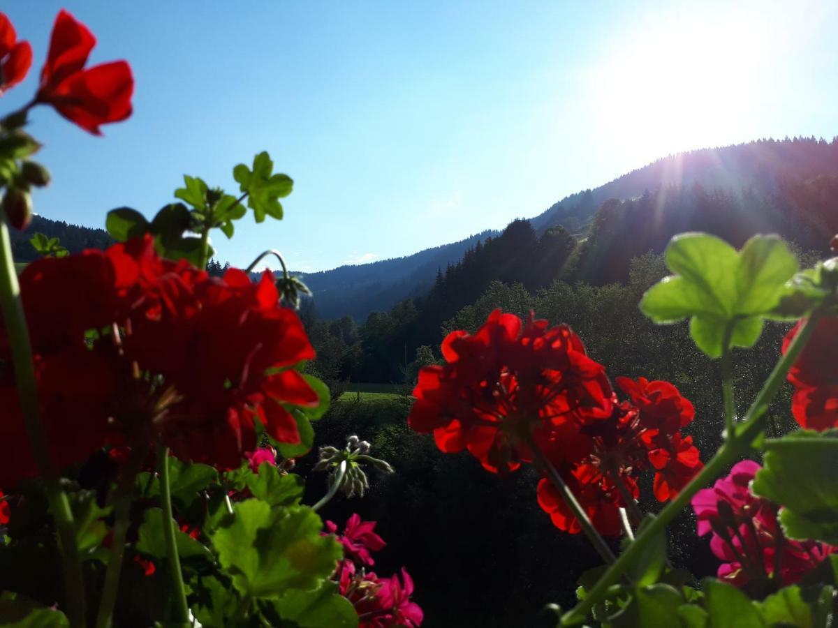 Apartment Hinterschwarzenau Auffach